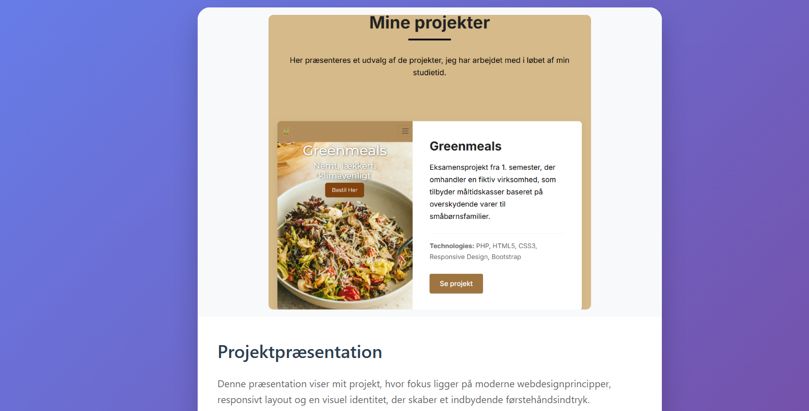 Project presentation